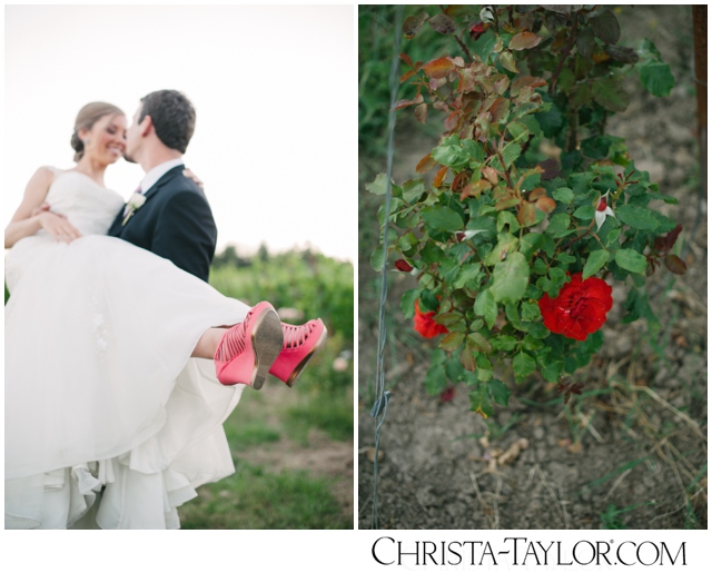 zenith vineyard wedding photo christa taylor_0148