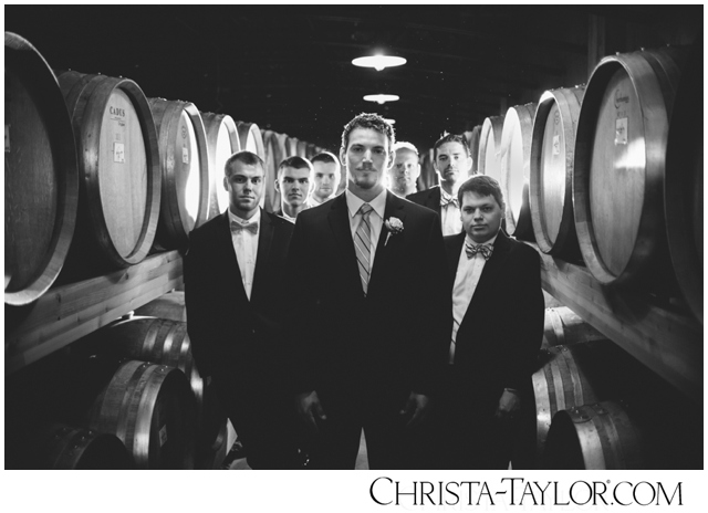 zenith vineyard wedding photo christa taylor_0155