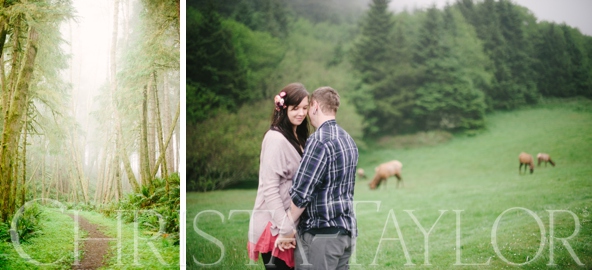 romantic forest engagement portland or_2099.jpg