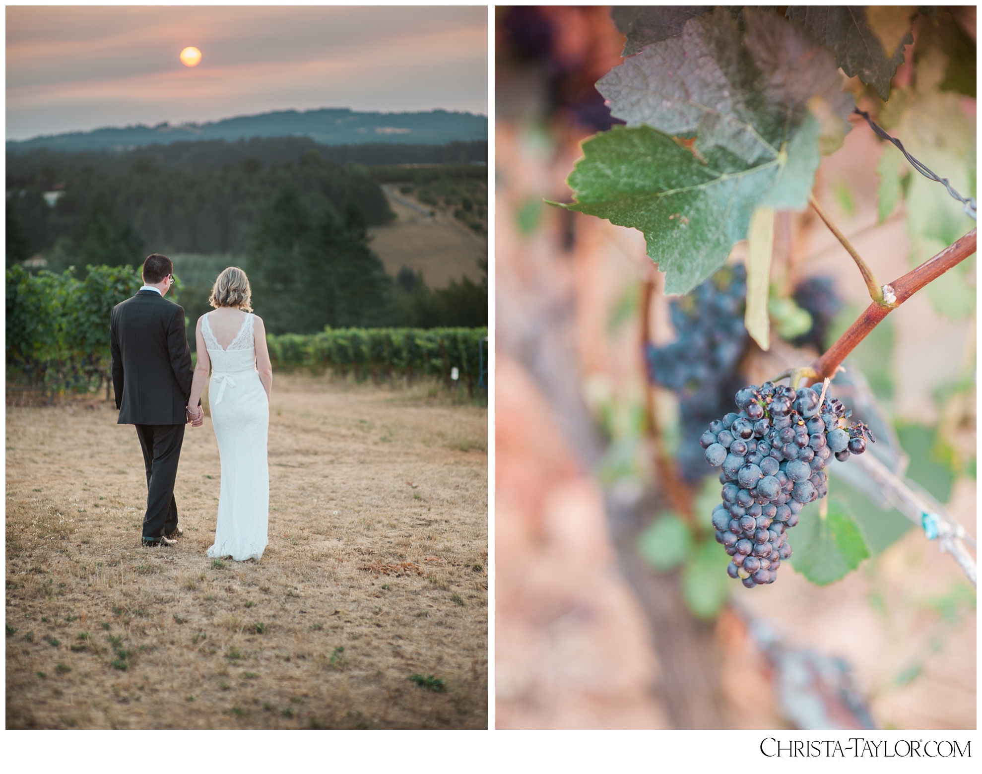 ponzi vineyard wedding_0661.jpg